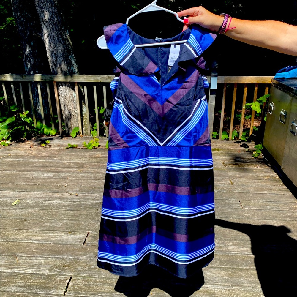 Banana Republic striped dress